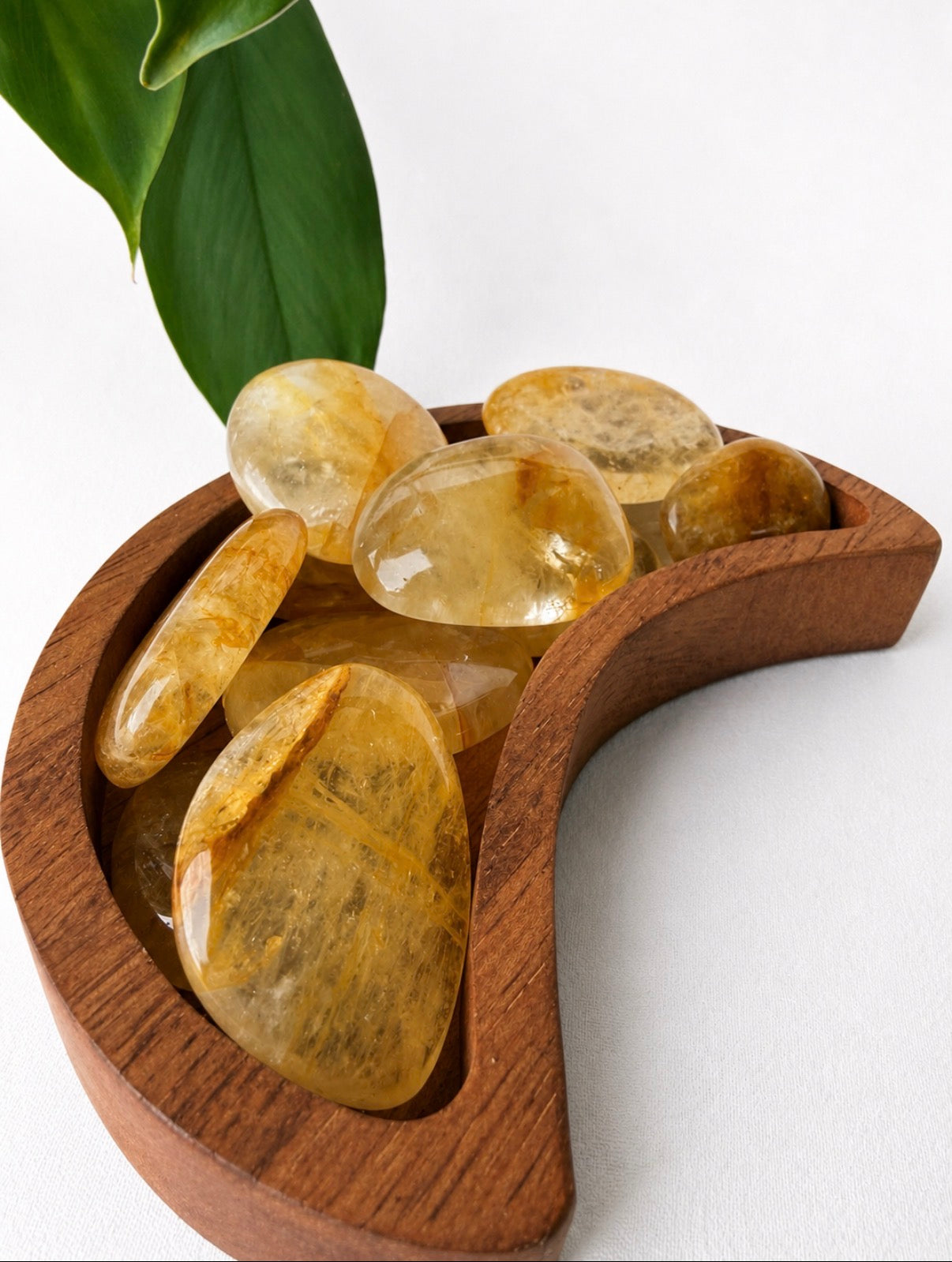 Golden healer đ Flat hĂ„ndstein