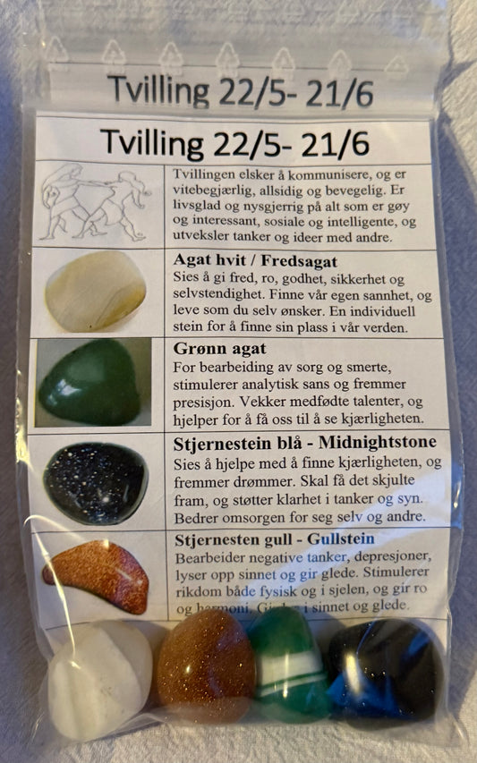 Tvillingene-sett♊️