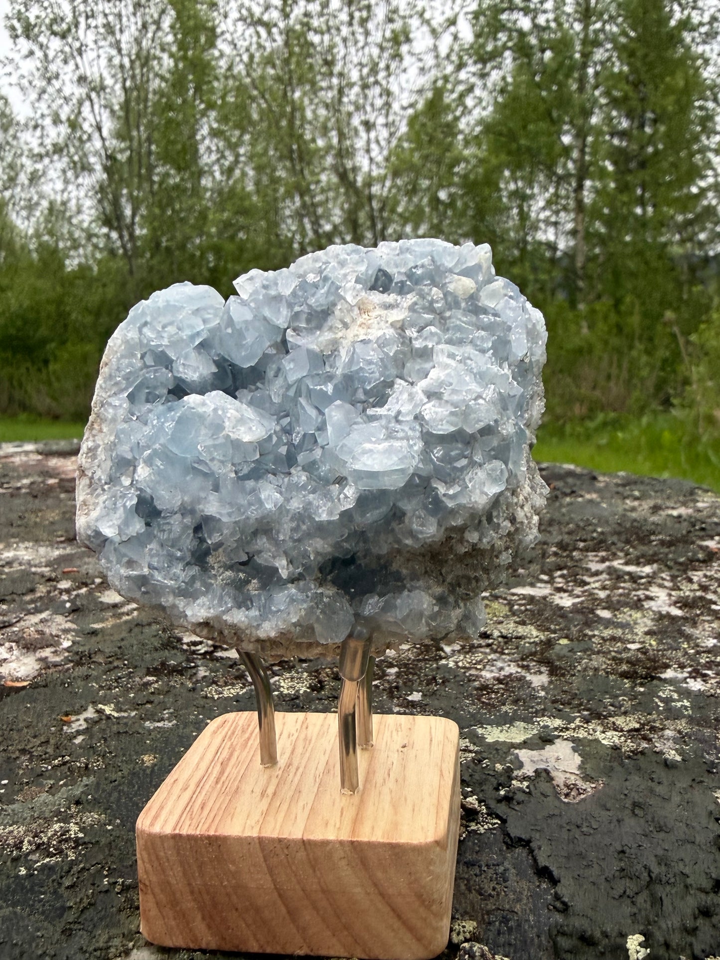 Blå celestinklynge – A-kvalitet ✨💙 509 gram